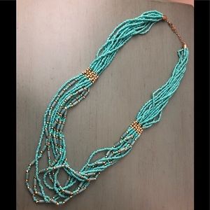 Long Turquoise Necklace
